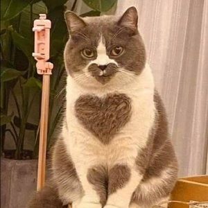 Meet your Posher, Hailey